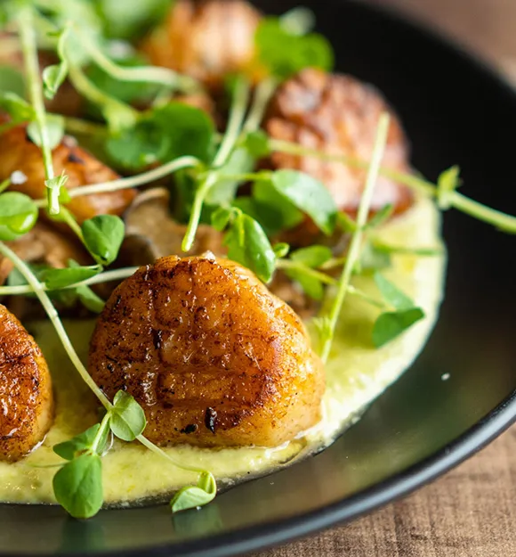 Pan seared Barnegat light scallops